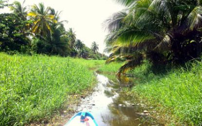 RDC to discuss way forward for long silted Friendship Canal.