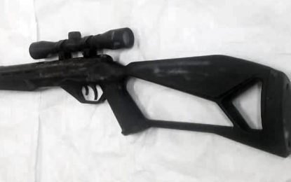 Mom calls police on son who stashed rifle