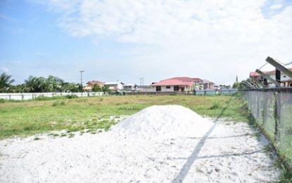State partners with private donor to develop playground for Samatta Point