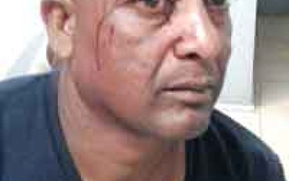 Bandits place gun to nine-year-old boy’s head while robbing Vergenoegen family