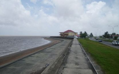 Schoolgirl raped on Ogle seawall, suspect in police custody