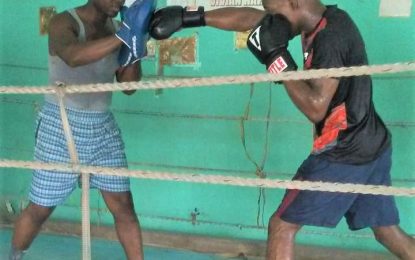 Agricola’s Shemar Beaton to fight tonight in Dominica