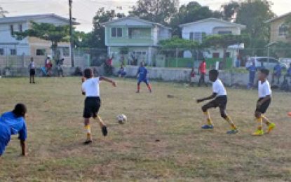 Agricola Fun-day and Sports day a resounding successHosts Agricola Red Triangle take Football title