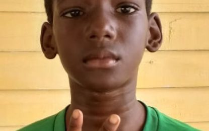 WDFA/Trophy Stall U11 LeagueDen Amstel and Pouderoyen are Saturday winners