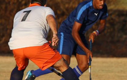 Bounty Paper Towel & Solo Drink Hockey Leagues Twelve matches on this weekend at Saints ground