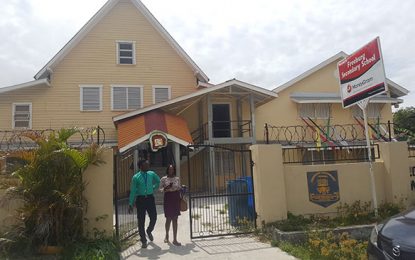 Mosquito infestation halts classes/exams at Freeburg School