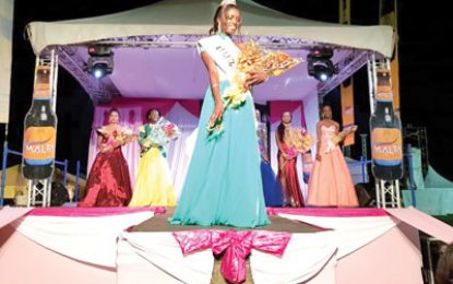 Miss New Silver City Secondary is Miss Teen Ambassador