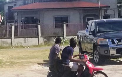 Pests on society: These two motorbike bandits were snapped shortly after robbing a woman.