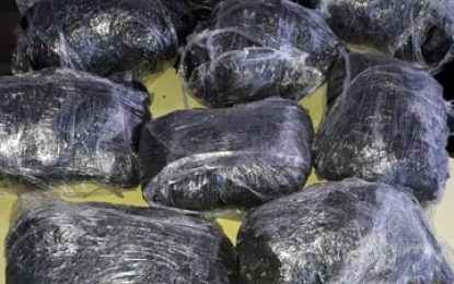 Taxi driver, others arrested after Berbice cops finds ganja stashed in music box
