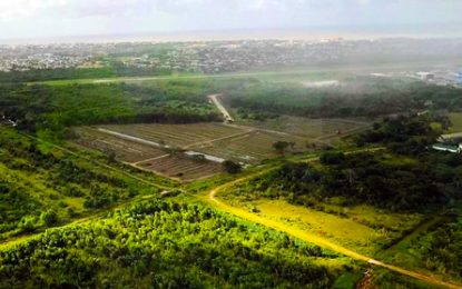 OAI explains land lease for Exxon’s head office- but ignores what Guyana is getting