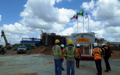 Aurora declares 36,600 ounces for first quarter