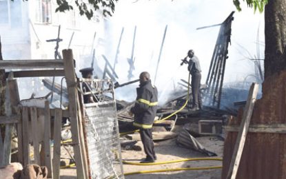 Kitty shack goes up in flames after kero stove left unattended