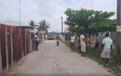 Fight over cabbage leads to teen’s death