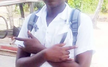 Teen loses life in new home during antenna fixing; dad survives