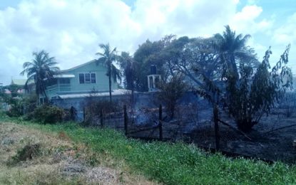 Grass fire traps elderly woman in home