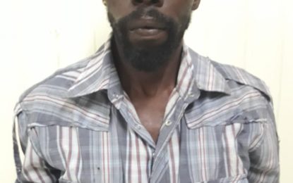 Mastermind’s wife, gang member remanded for Canje robbery