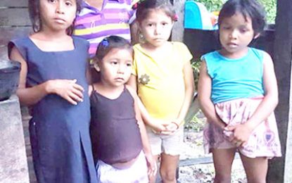 Over 600 Venezuelan migrant children accepted into school system