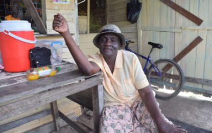 Belladrum Village: a close knitted community in the grips of transcending times