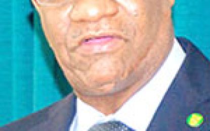 United Arab Emirates to help Guyana address challenges to taxation, customs