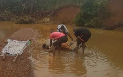 Unidentified man found dead after Mahdia flood