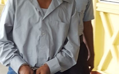 Estate worker previously charged for molesting horse jailed 29 years for raping girl, 9