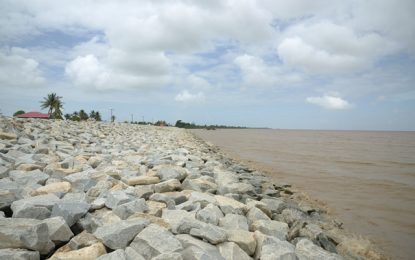 Leguan Island receives boost in roads/sea defences