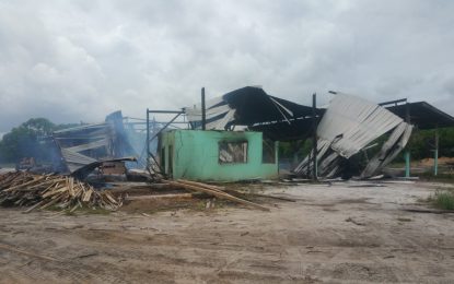 GFC board member loses over $200M in early morning sawmill fire