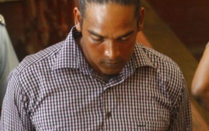 Alleged lumber thief granted bail