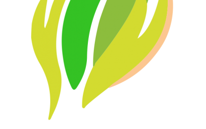 One framework for small and medium scale miners – GSDS Vision 2040