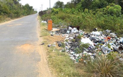 ‘Irresponsible’ business operators slammed for wanton garbage disposal around country