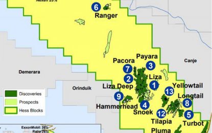 Hess to pump over US$570M into Stabroek Block for 2019