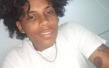 Gun-toting teenager robs mother and daughter, remanded