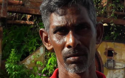 Stray Catchers accused of impounding cattle while owner/herder present. —police allegedly threaten to shoot the farmer if he touched the cows