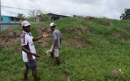 Controversy surrounds $7.7M allocated for works to West R/Veldt playfield