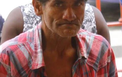 Salt fish thief sent to prison