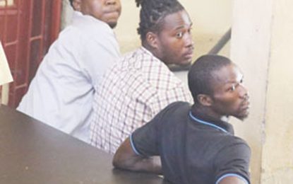 Two freed, one to lead defence in illegal weapon, ammo trial