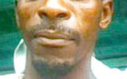 Farm hacking death…Suspected killer alleges sexual assault by victim