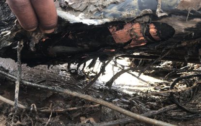 Country braces for more blackouts  -as GPL scrambles to repair Chinese submarine cable