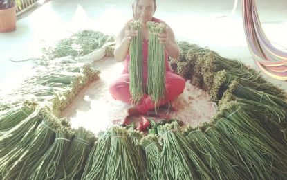 Woman farms to give her children a good life