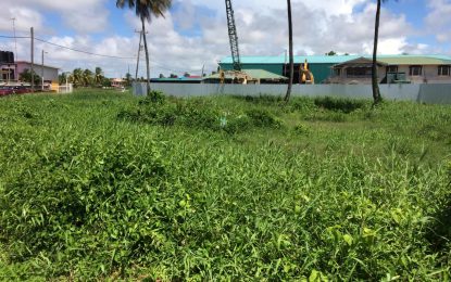 Man loses bid to secure ownership of Mahaica land