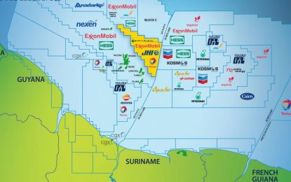 All oil companies received more blocks than law allows