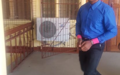 Ann’s Grove youth gets eight years for manslaughter