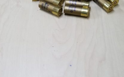 Ammo stash seized at Onderneeming