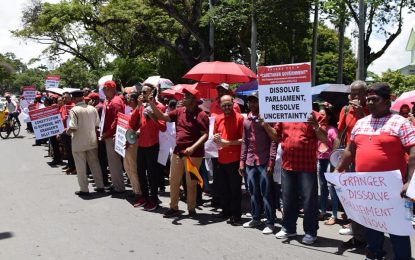 PPP stages more protests for elections