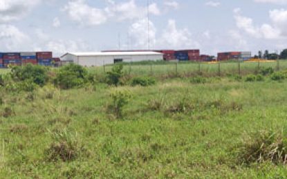 EPA still to assess impact of proposed Houston Chemical Plant – Director