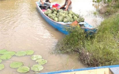 With a bounty of fruit on his hands…Farmer Richard Boodoo to invest in canned juices, concentrates