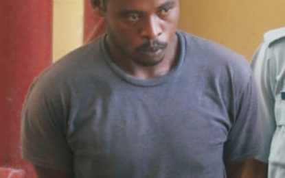 Doctor to report if man fit to stand trial for beheading brother-in-law
