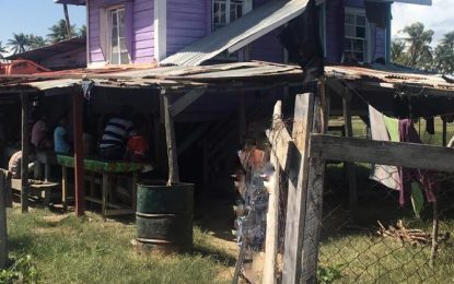 Toddler,2, drowns in a canal near grandmother’s home