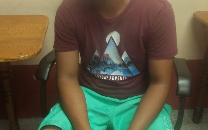 Police bullet narrowly misses sleeping child