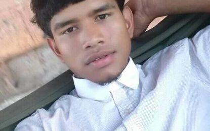 Teen killed during Diamond fish shop brawl